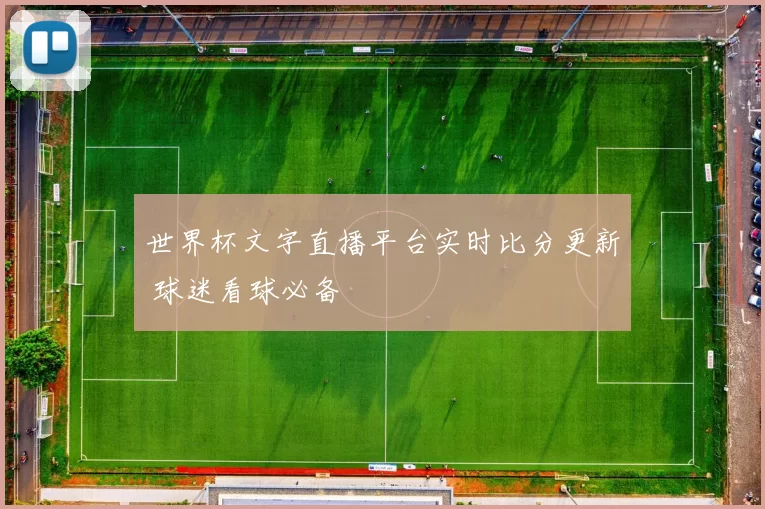 世界杯文字直播平台实时比分更新 球迷看球必备
