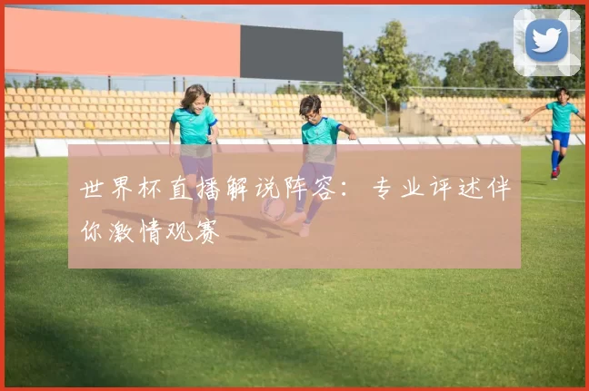 世界杯直播解说阵容：专业评述伴你激情观赛