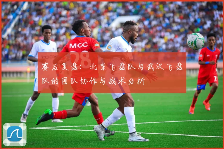 赛后复盘：北京飞盘队与武汉飞盘队的团队协作与战术分析