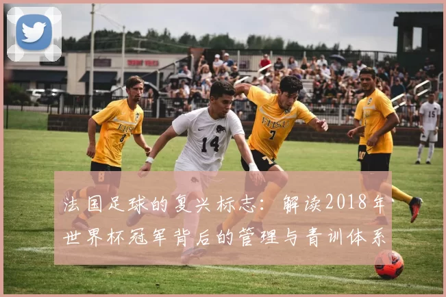 法国足球的复兴标志:解读2018年世界杯冠军背后的管理与青训体系