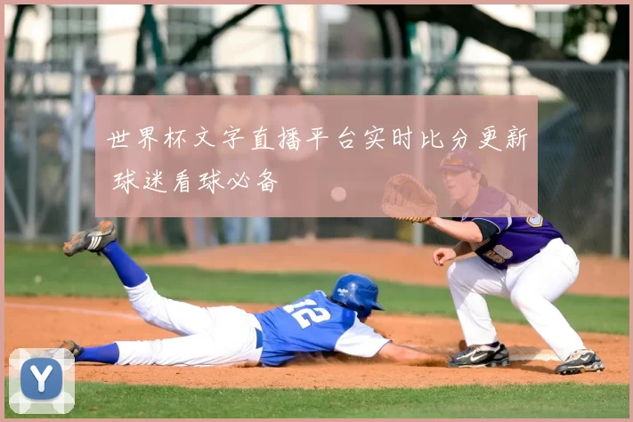世界杯文字直播平台实时比分更新 球迷看球必备