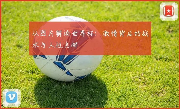 从图片解读世界杯:激情背后的战术与人性光辉