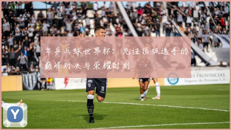 年乒乓球世界杯:见证顶级选手的巅峰对决与荣耀时刻