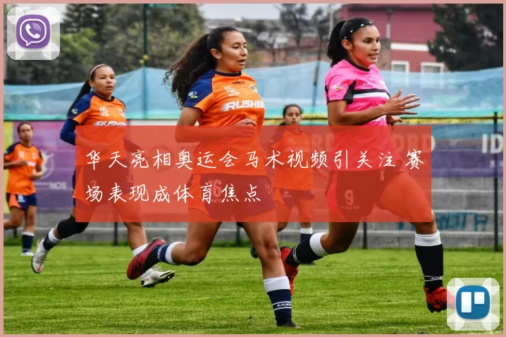 华天亮相奥运会马术视频引关注 赛场表现成体育焦点