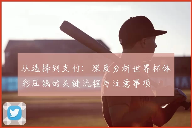 从选择到支付：深度分析世界杯体彩压钱的关键流程与注意事项