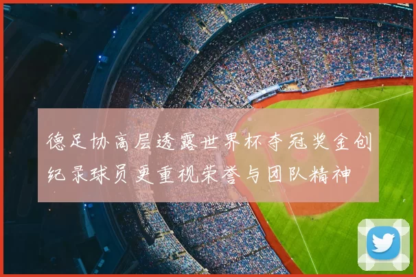 德足协高层透露世界杯夺冠奖金创纪录球员更重视荣誉与团队精神